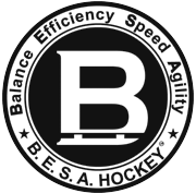 logo besahockey design